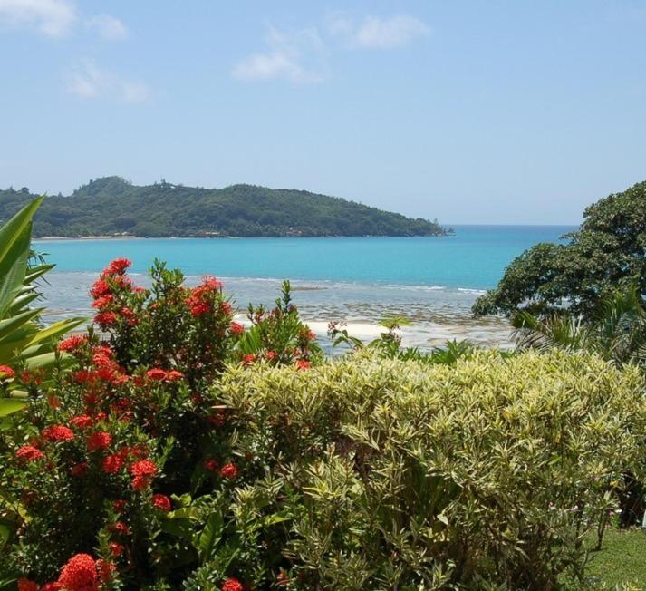 Sailfish Beach Villas Anse a La Mouche Exterior foto